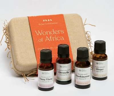 Wonders of Africa Essential Oil Kit from Forest Remedies