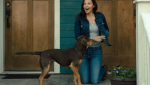 Ashley Judd A Dog's Way Home