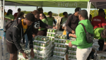 Publix, giving back, donating food, donations, hunger, lifeminute, supermarket, lifeminute, lifeminute.tv