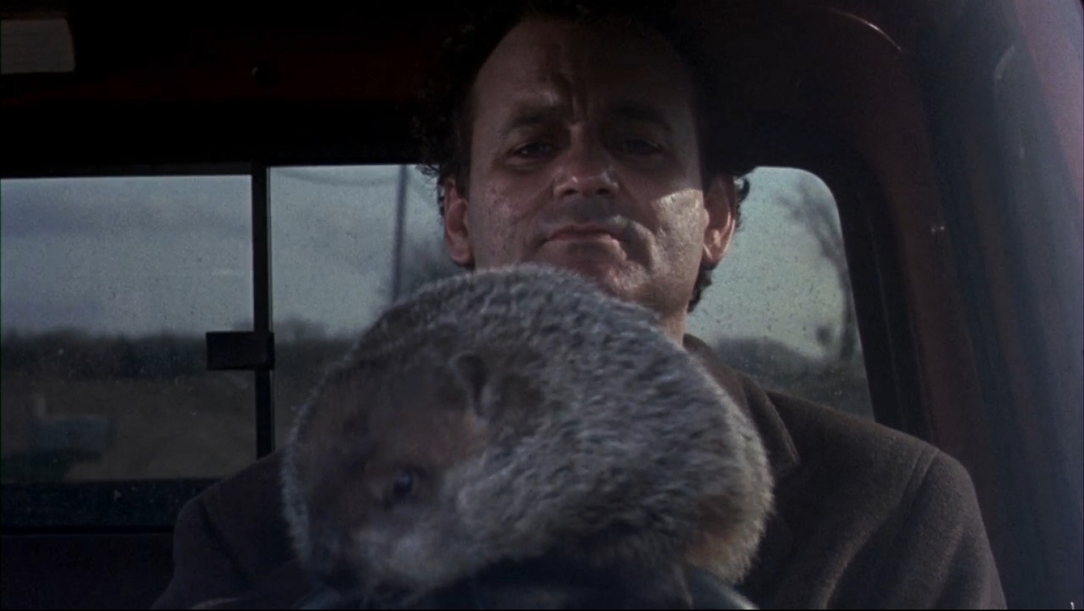 It's Groundhog Day | LifeMinute.tv