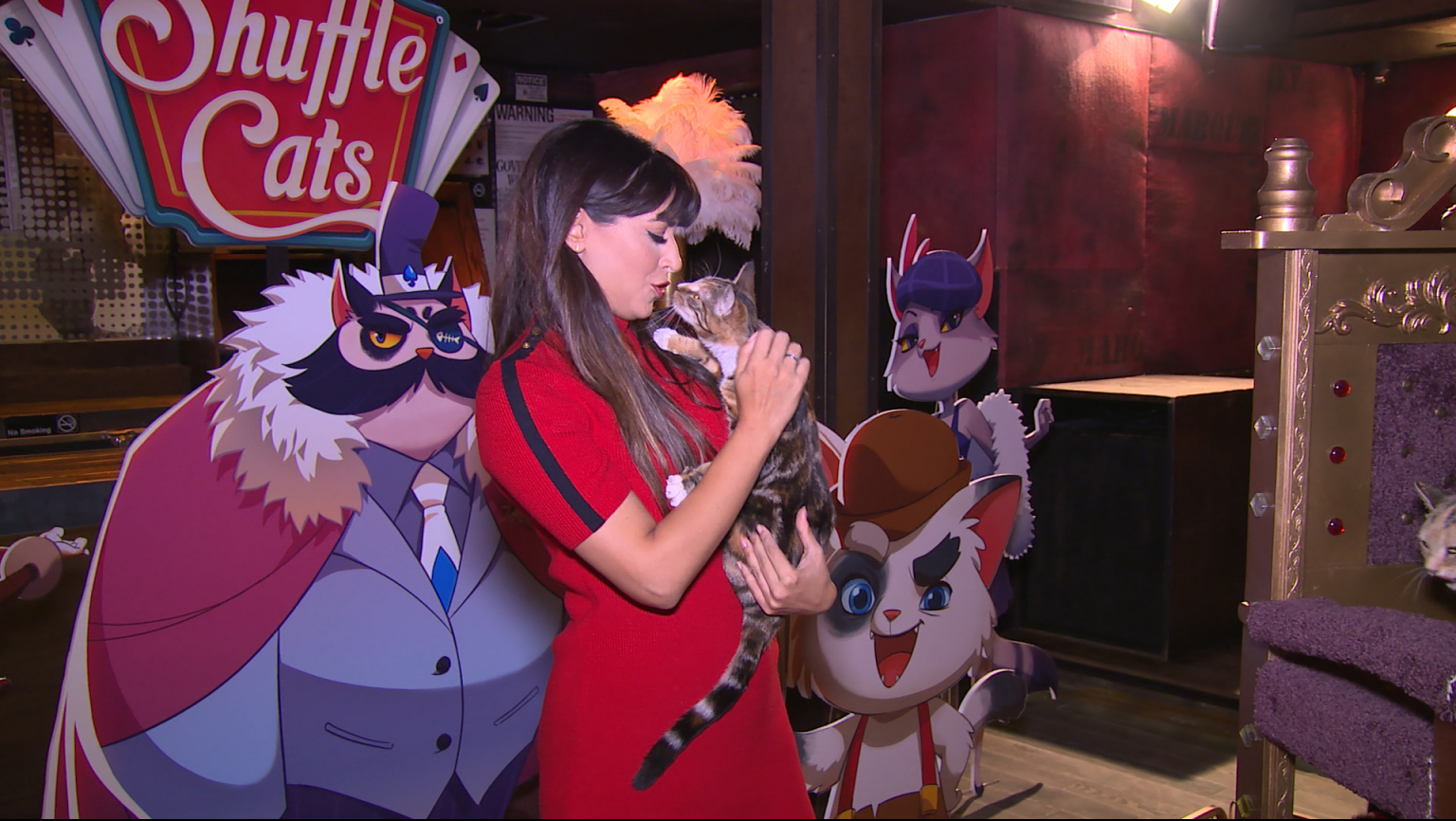 Candy Crush Creator Announced Feline Winner To Be Featured In