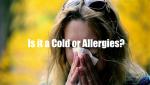 Is it a Cold or Allergies? Here’s What You Need to Know