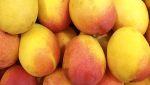 Must-Knows about Mangos