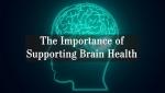 The Importance of Supporting Brain Health and What You Can Do to Improve It