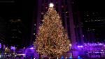 The 2024 Rockefeller Center Christmas Tree Lighting Kicks Off the Holiday Season in New York City