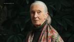 Wildlife Conservationist Jane Goodall dies at 91