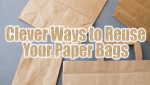 Clever Ways to Reuse Your Paper Bags
