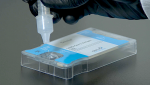 New COVID-19 Antigen Test Gets FDA Emergency Use Authorization