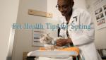 Pet Health Tips for Spring