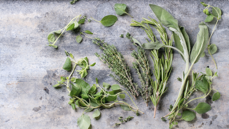Healthy Herbs to Grow at Home