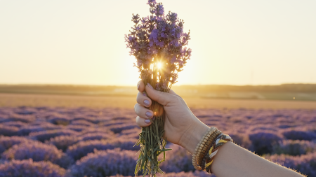 Lavender Is One of Spring 2024’s Biggest Trends