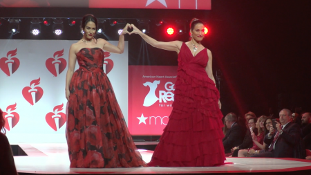 Bella Twins, Red Dress