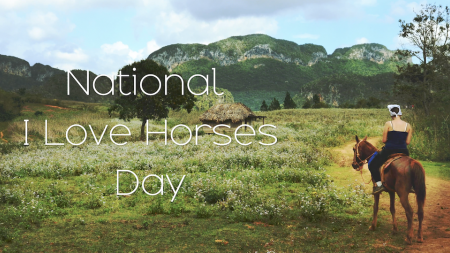 National I Love Horses Day