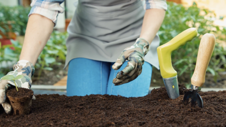 Reasons to Start Gardening