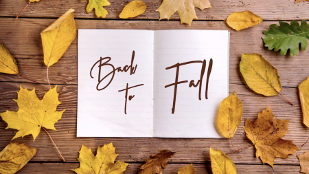 Back to School, Back to Work, Back to Fall Basics