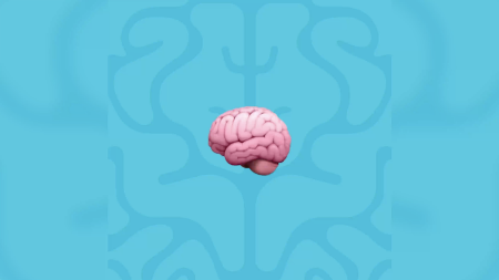 How to Enhance Your Wellness Routine by Doing More for Your Brain