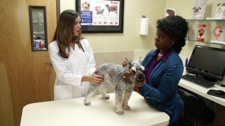 Companion Animal Parasite Council