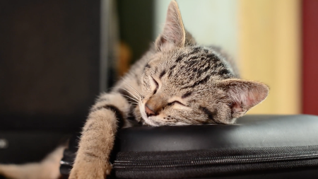 The Dos and Don’ts of Adjusting to Daylight Saving