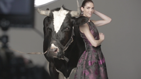 Dressbarn