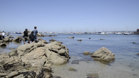 Monterey County