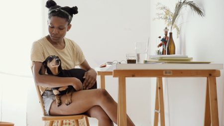 Keep Your Pets and Household Healthy and Safe