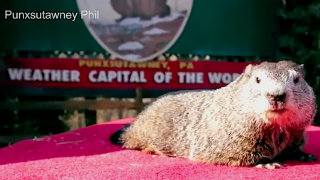 Groudhog Day 2021: Punxsutawney Phil’s Prediction