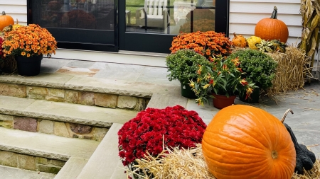 How to Preserve Your Pumpkin
