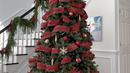 How to Keep Your Tree Alive Longer