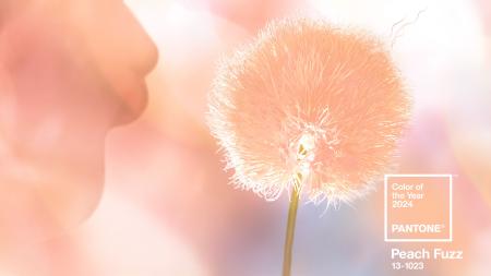 Pantone Celebrates the 25th Anniversary of it's Color of the Year Program with "Peach Fuzz"