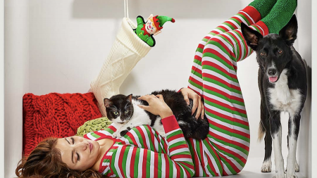 Pet Parenting Made Easy