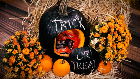 How to Make a Pumpkin Candy Holder