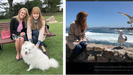 See Monterey