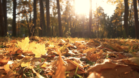 Skincare Tips for Self-Improvement Month