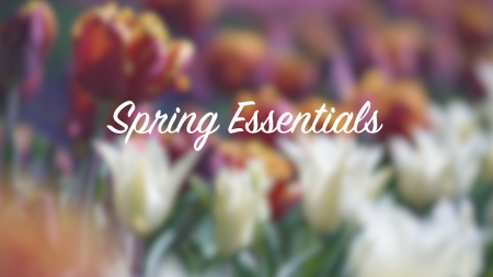 Renewing Spring Lifestyle Must-Haves