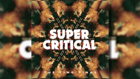 The Ting Tings 