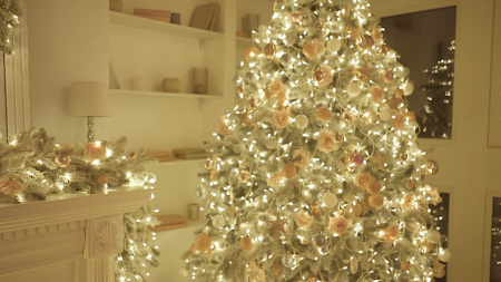 5 Tips for Tree Lighting