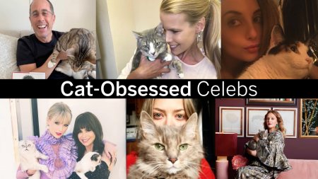 World Cat Day, International Cat Day, Cat, Cats, Felines, Miley Cyrus, Lea Michele, Drew Barrymore, Kourtney Kardashian, Norman Reedus, Taylor Swift, Alexa Ray Joel, Amanda Seyfried, Ed Sheeran, Howard Stern, Beth Stern, lifeminute, lifeminute.tv