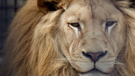 5 Ways To Harness Confidence 