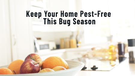 Keep Your Home Pest-Free This Bug Season