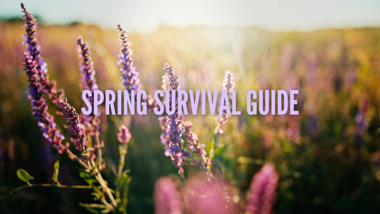 3 Must-Haves for Spring | LifeMinute TV