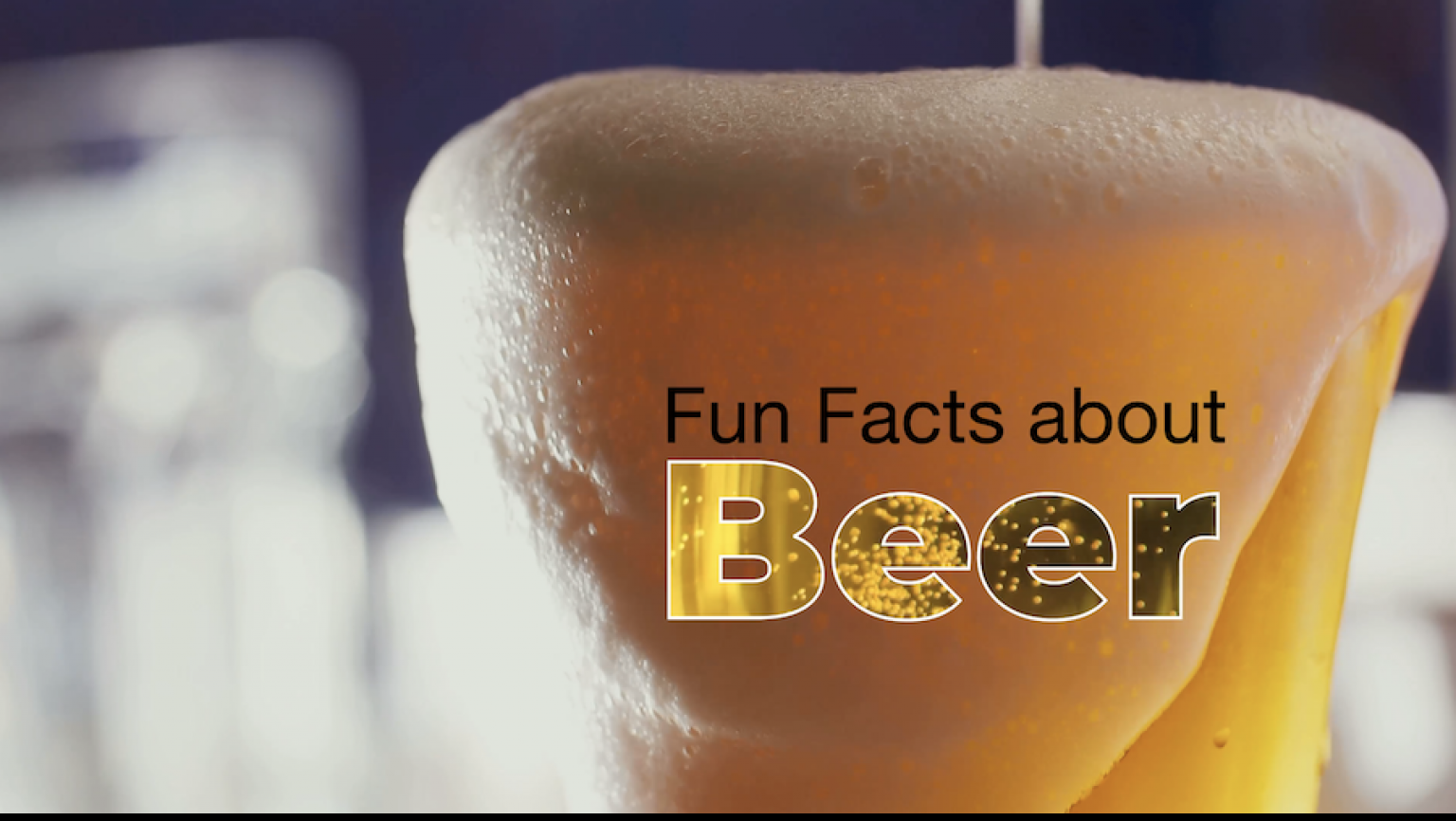 10 Fun Facts About Beer | LifeMinute TV