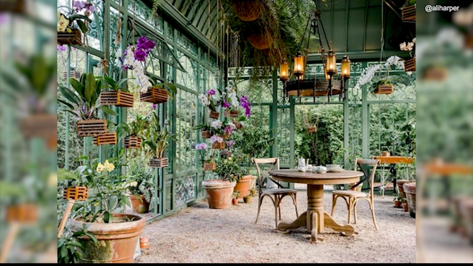 Micro Gardens | LifeMinute.tv