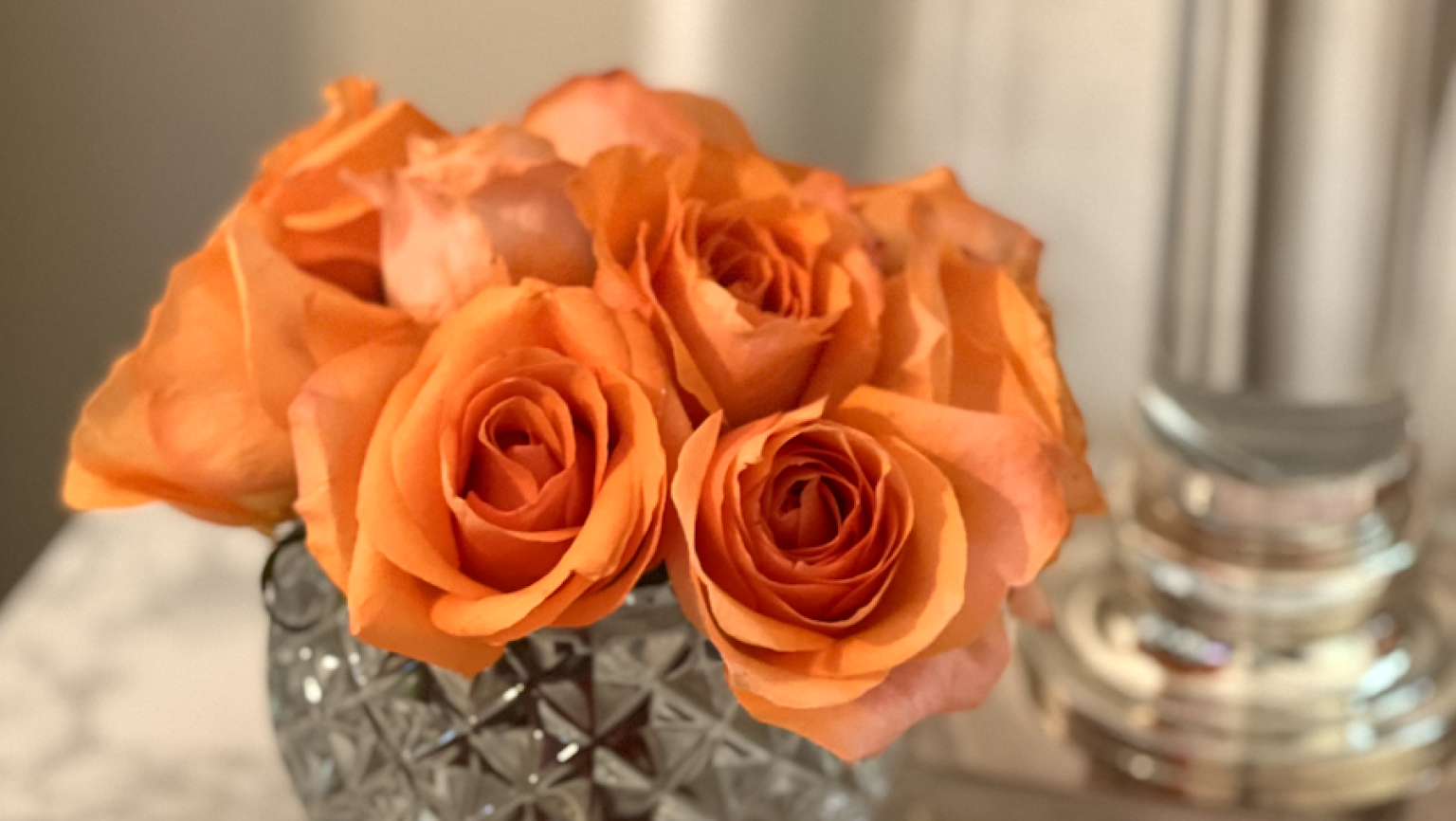 Tricks to Keep Your Flowers Alive Longer LifeMinute TV