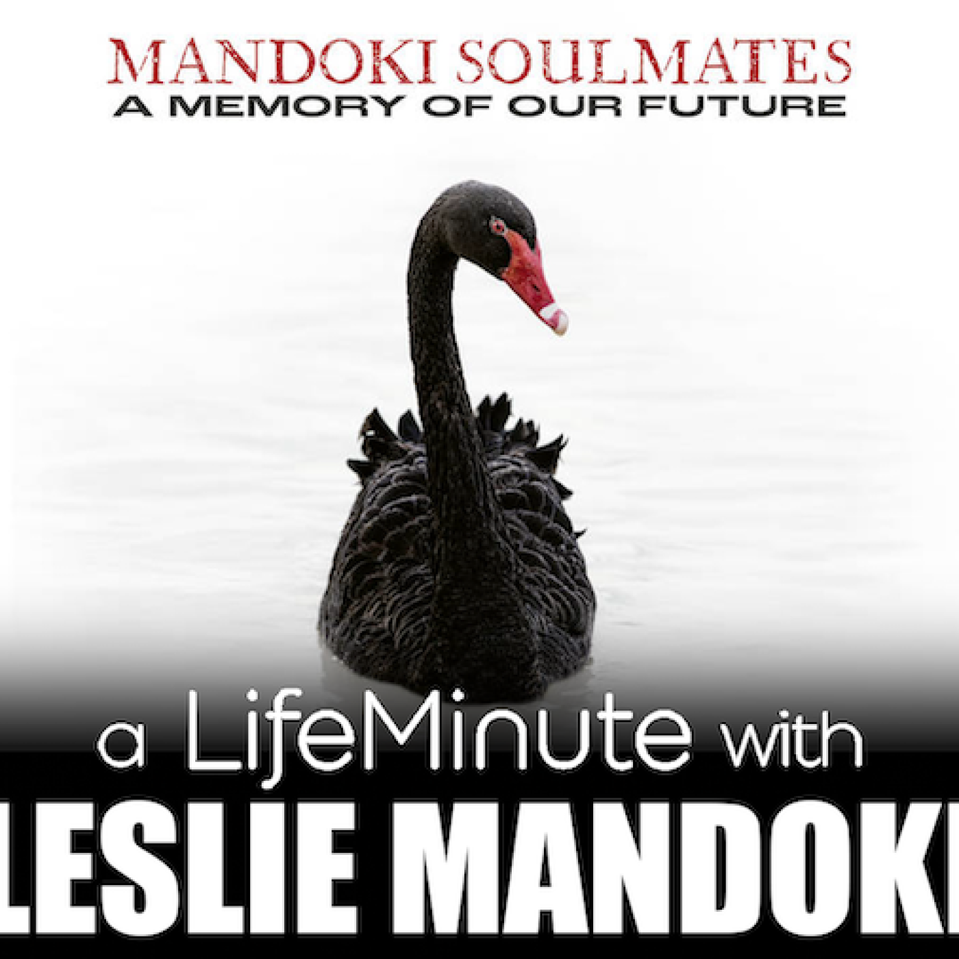 LifeMinute Podcast: Entertainment