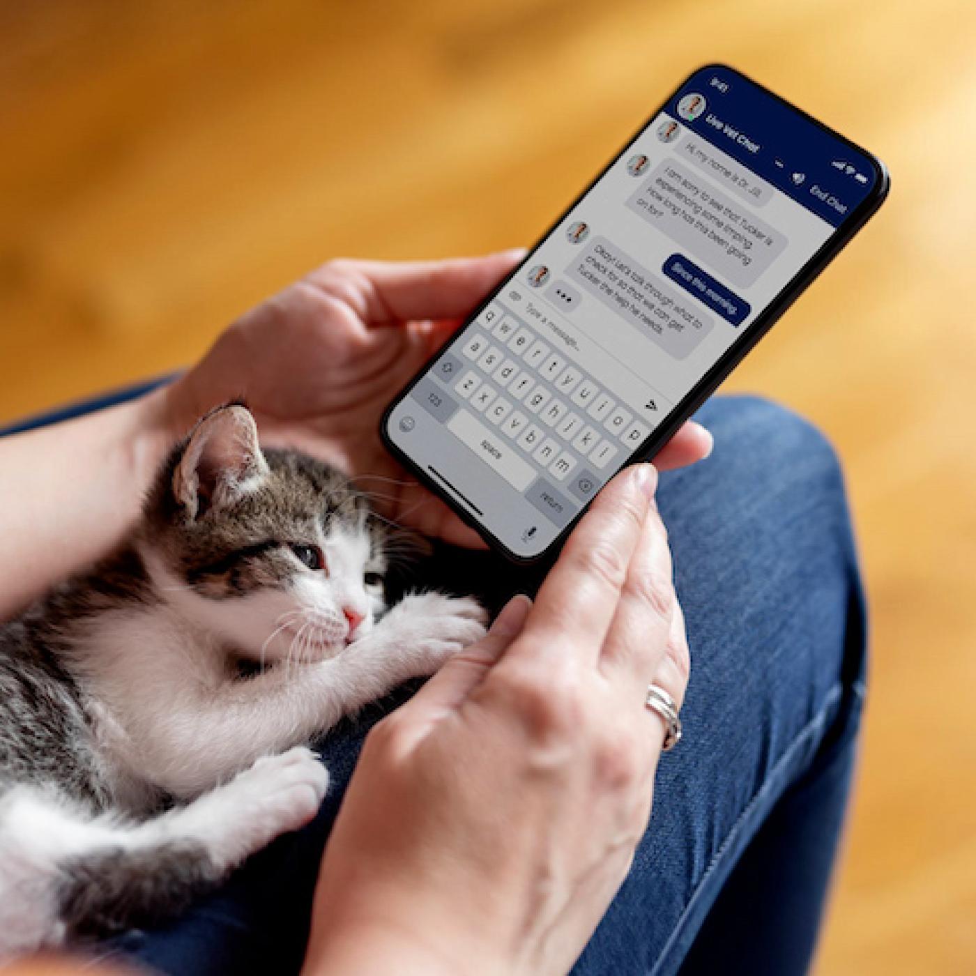 The Veterinary Expert in Your Pocket: Pet Health and Wellness with Chewy episode artwork