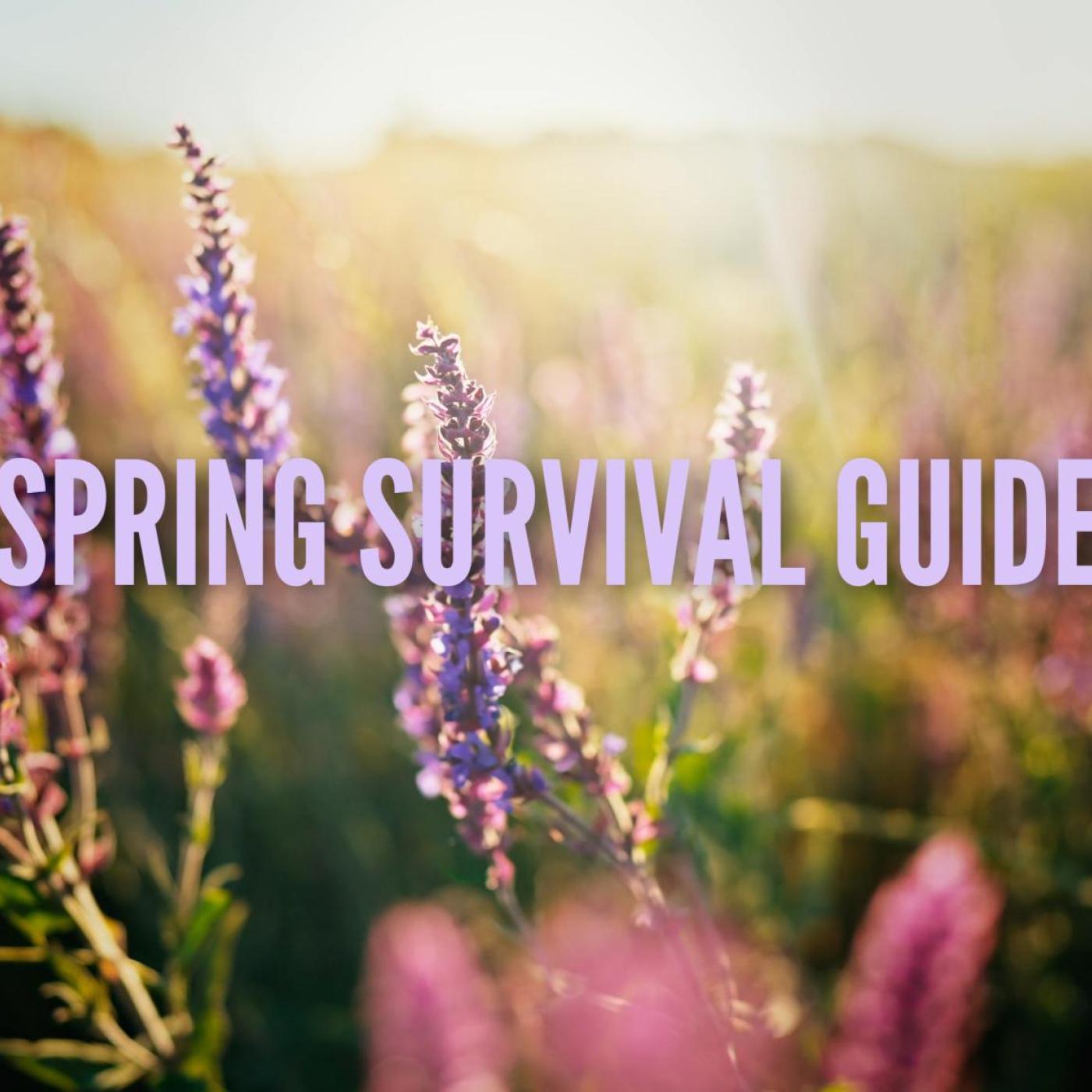 3 Must-Haves for Spring episode artwork