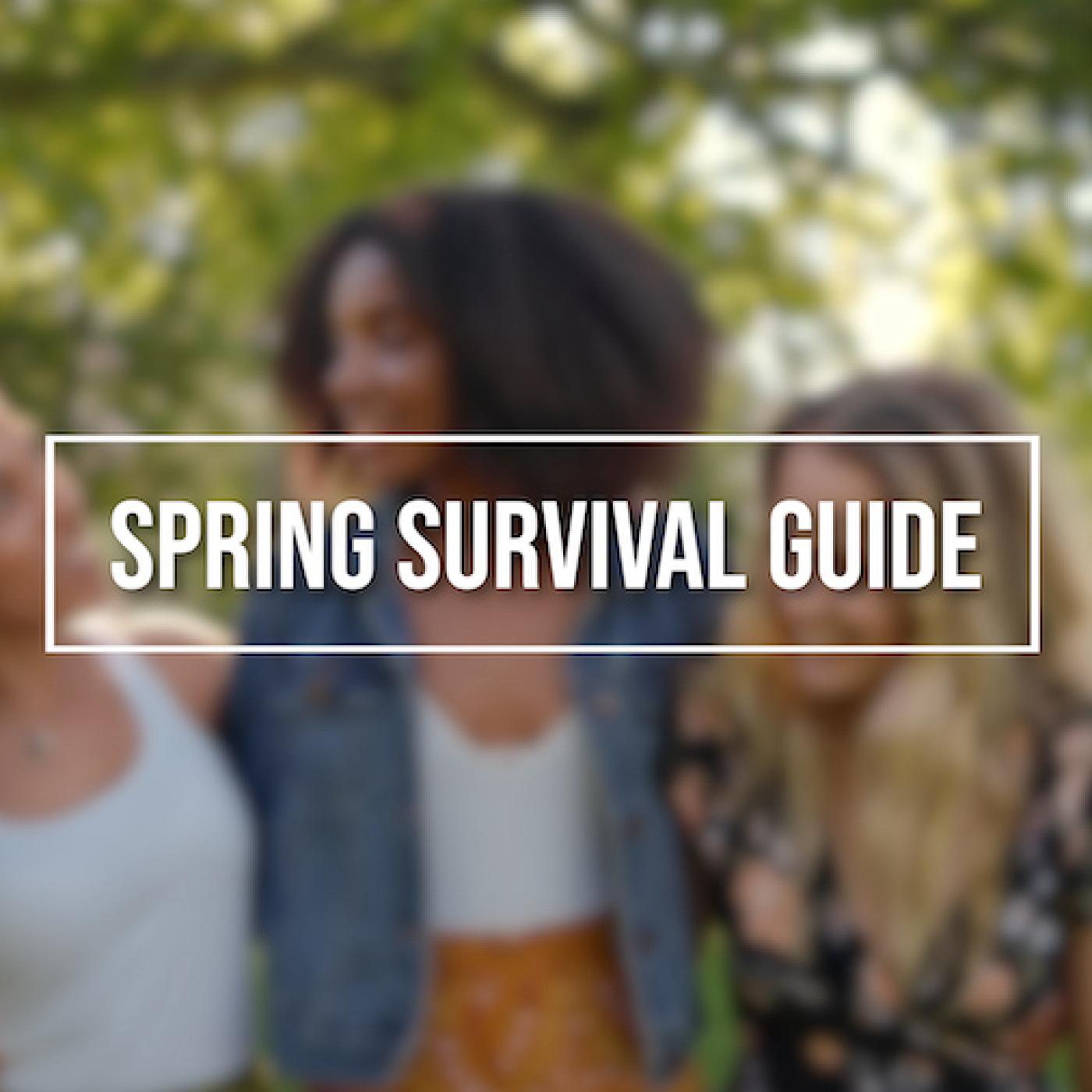 Spring 101: Wellness and Beauty Buys episode artwork