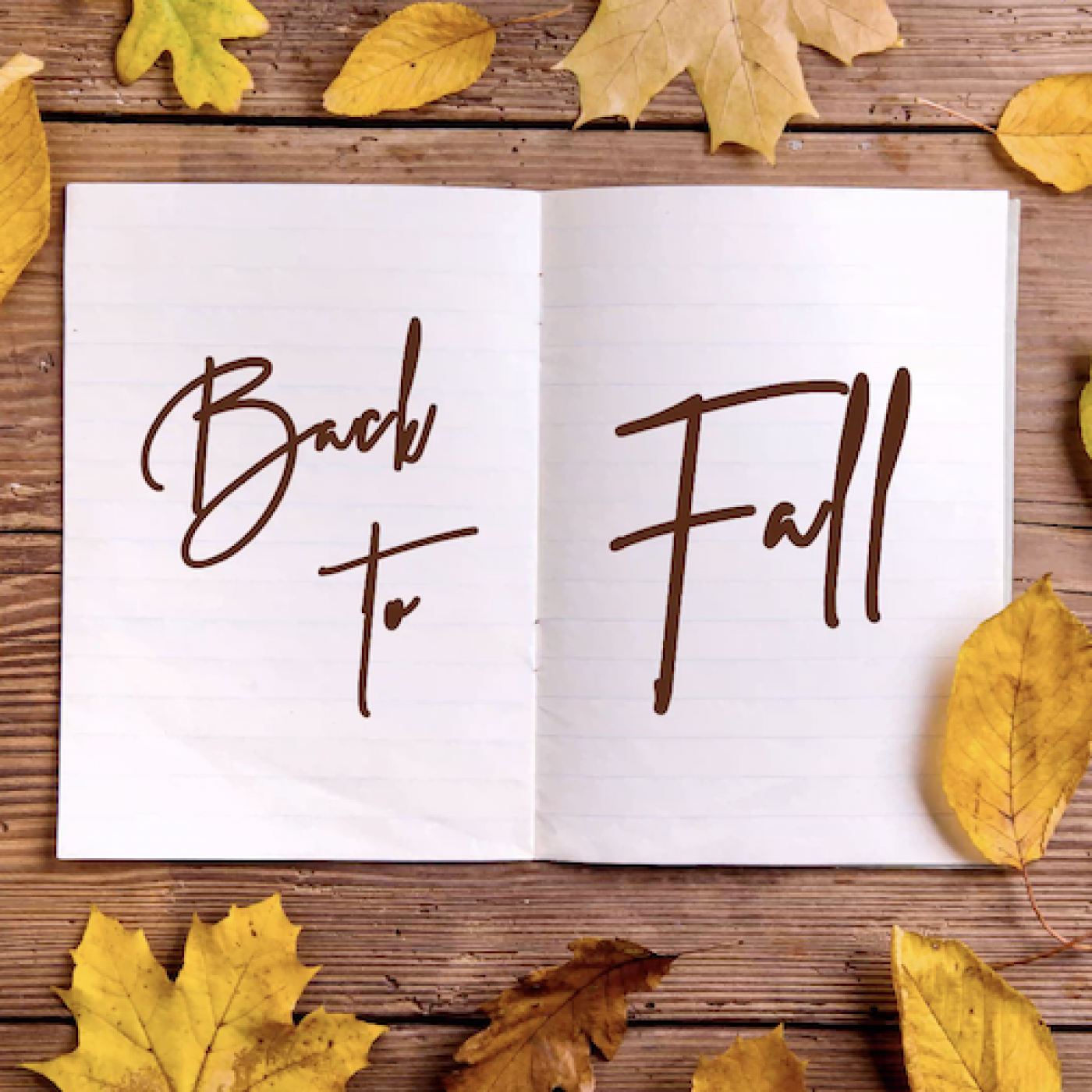 Back to School, Back to Work, Back to Fall Basics episode artwork