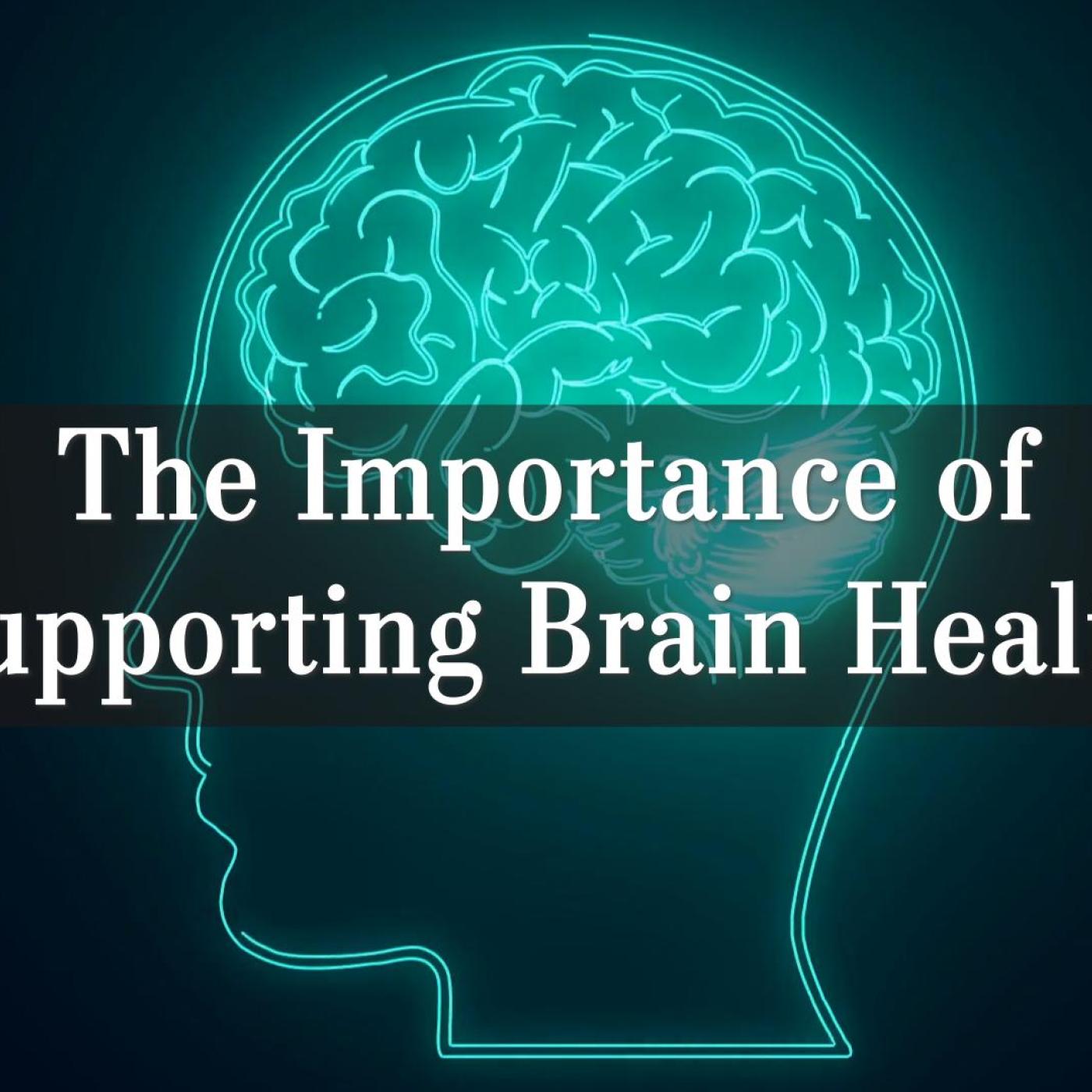 The Importance of Supporting Brain Health and What You Can Do to Improve It
