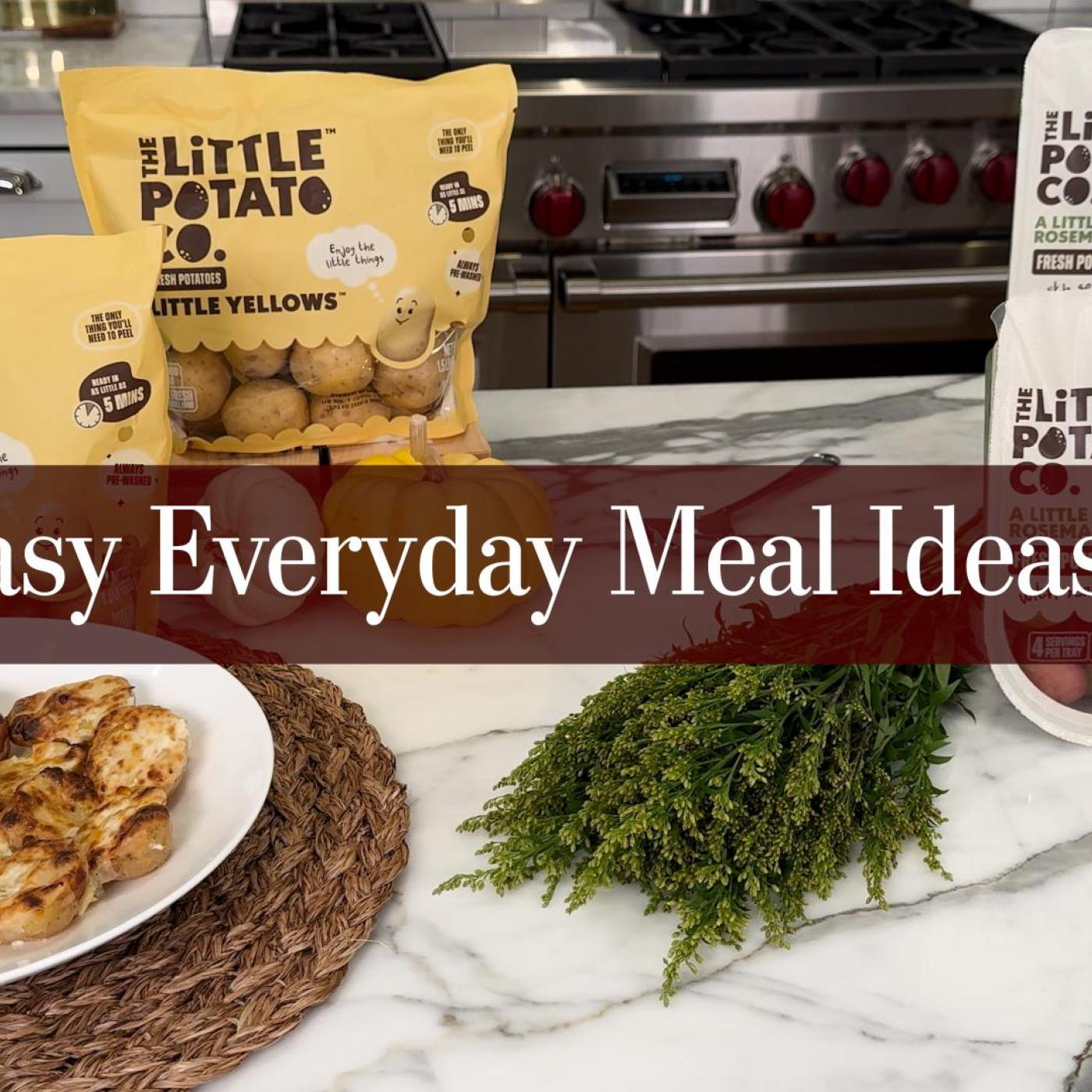 Easy Everyday Meal Ideas